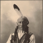 White Buffalo