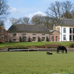 Wilhelmus Wilhelmius