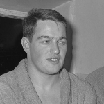 Wim Spingelen