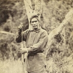 Wiremu Tamihana