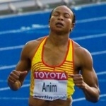 Vida Anim