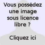 Vincent Restencourt