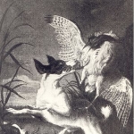 Waclaw Potocki