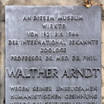 Walter Arndt