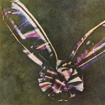 Thomas Sutton