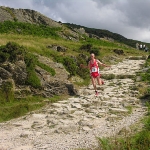 Timothy Davies