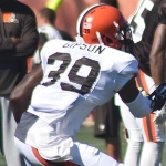 Tashaun Gipson