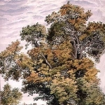Thomas Collier
