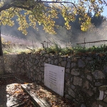 Stefanos Chalis