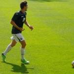Stephen O'Donnell