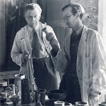 Stig Lindberg