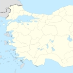 Serena Shim