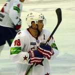 Sergei Brylin