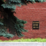 Sergei Kurashov