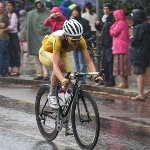 Shara Gillow