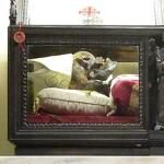 Galdino Saint