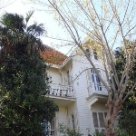 Sait Faik Abasıyanık