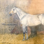 Douglas Fry