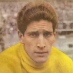 Rogelio Dominguez