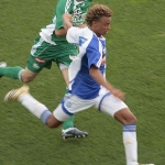 Rolf Feltscher