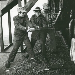 Ron Ziel