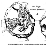 Raymond Berengar