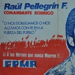 Raul Pellegrin