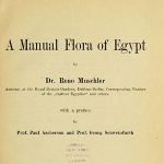 Reinhold Muschler