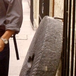 Ricardo Degrossi