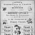 Matthew Cooke