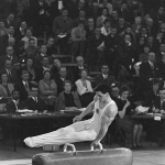 Miroslav Cerar