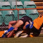 Mitchell Chapman