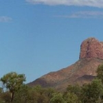 Molly Napaltjarri
