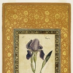Muhammad Zaman
