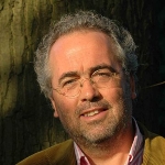 Niko Koffeman
