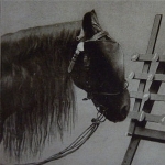 Oskar Pfungst