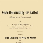 Karl Schumann
