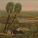Robert Dale