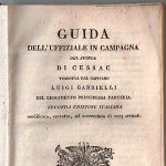 Luigi Gabrielli