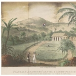 January Gramberg