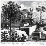 Jean-Baptiste Tertre