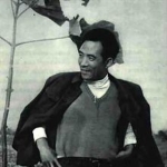 Jiao Yulu