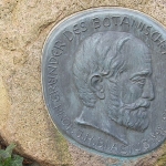 Johann Blasius