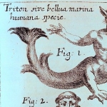 Johann Zahn