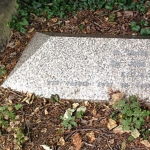 John Kerr
