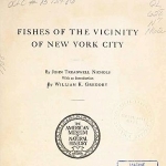John Nichols