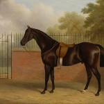 John Paul