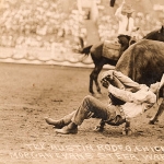 Tex Austin