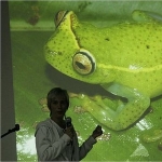 Josefa Senaris