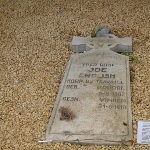 Joe English